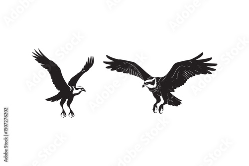 Majestic eagle in flight high resolution vector illustration