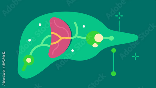 Liver and Detoxification An MRI scan segment showing the liver in vibrant green with annotations pointing to healthy liver function and its role in longevity.