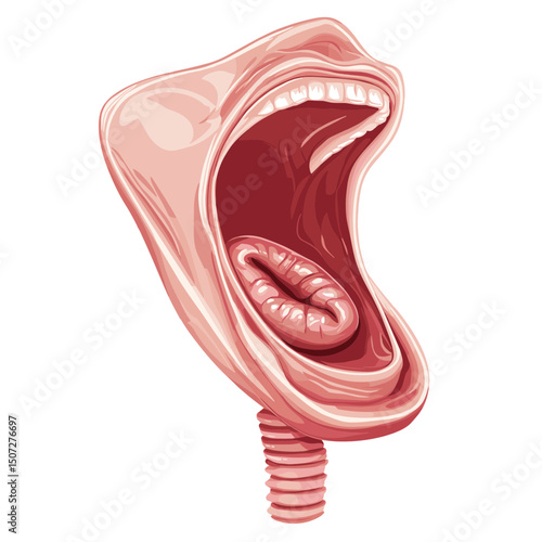 Surreal Open Mouth with Pink Tones and Visible Tongue and Throat in Detailed Digital Illustration on a White Background