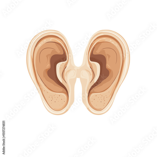 Two Cartoon Ears on a White Background Digital Art Illustration