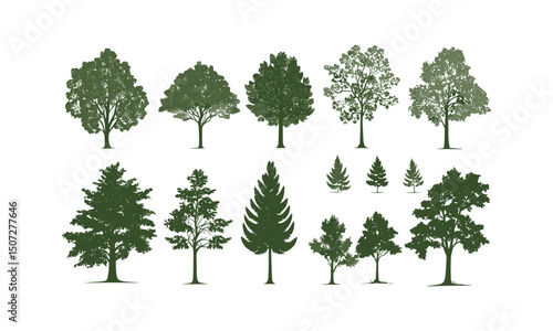 Seasonal green canopy clipart, dense beech tree silhouettes, shaded rural forest, engraved leaf vector, European woodland environment, vector illustration, serene forest view