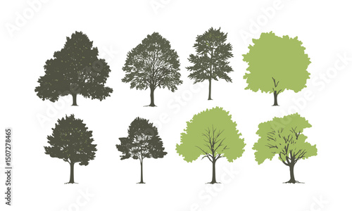 Engraved leaf vector, dense beech tree silhouettes, seasonal green canopy clipart, shaded rural forest, European woodland scene, vector illustration, forest ecosystem, peaceful nature setting.