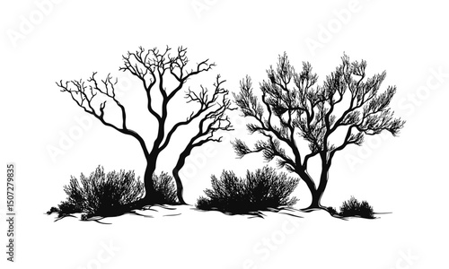 Arid Climate Desert Silhouettes, mesquite shrub forest vector illustration, open range nature clipart, dry scrubland plants, southwestern desert vegetation, vector illustration.