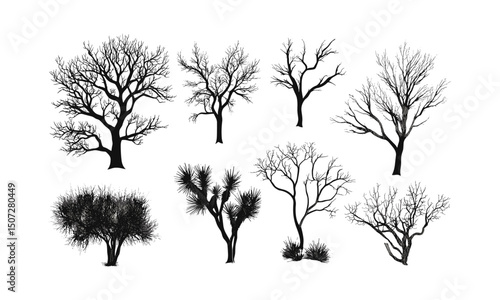 Spiky leaf Mesquite trees in desert forest, dry vegetation, low woodland plants, sun-parched natural landscape, rustic design elements, arid climate flora, vector illustration.