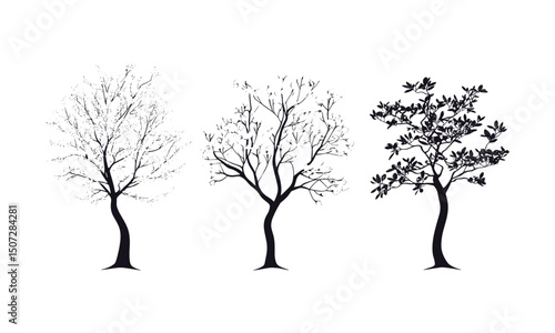 Springtime Dogwood Tree, urban park elements, forest silhouette, nature clipart, wild tree, tree vector, vector illustration, scenic greenery, outdoor nature scene, lush vegetation.