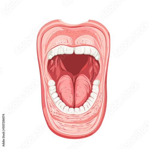 Detailed Illustration of an Open Mouth with Tongue and Teeth on a White Background