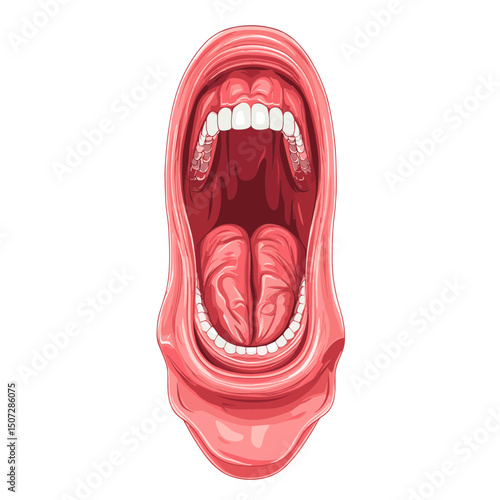 Detailed Illustration of an Open Mouth with Visible Tongue and Teeth in Red and White Hues on a Clean Background