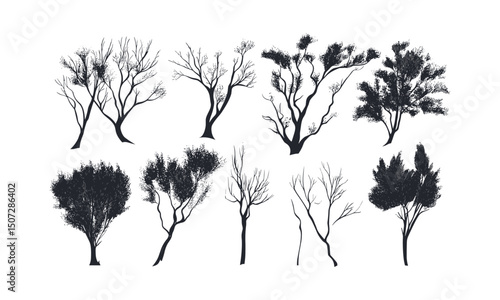 Dry Steppe Tamarisk Tree Silhouettes, sparse landscape, desert climate trees, minimal forest clipart, soft brush canopy art, seasonal illustration, vector illustration, nature background