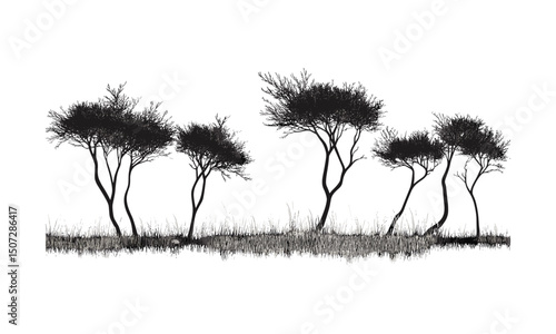 Dry Steppe Tamarisk Tree Silhouettes, sparse landscape, desert trees, minimal forest clipart, seasonal illustration, soft brush canopy art, vector illustration, natural scenery