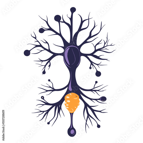 Detailed Neuron Illustration in Purple and Yellow Color Scheme Showing Brain Cell Anatomy for Science and Medical Purposes