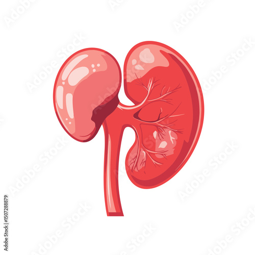 Detailed Pink Kidney Anatomy Illustration with Pixel Art Style on White Background