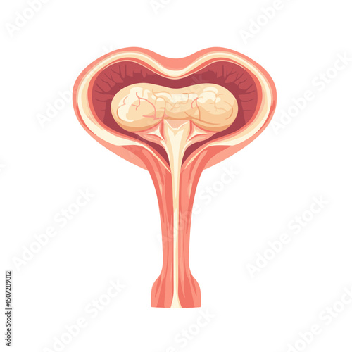 Detailed Uterus Anatomy Cross Section Medical Diagram in Pixel Art Style Illustration Featuring Fallopian Tubes Cervix and Vagina on Plain Background