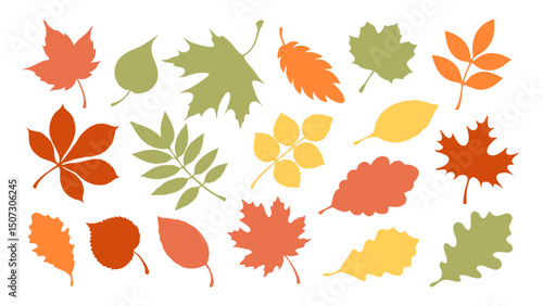 set of autumn leaf colourful vector