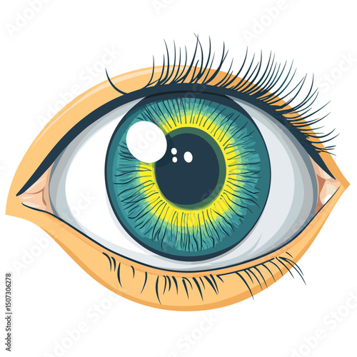 Detailed Blue and Yellow Eye Illustration with Long Eyelashes Anatomy Close Up Vision