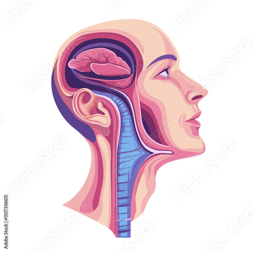 Detailed Cross Section Head Anatomy Pixel Art Illustration for Medical Educational Purposes