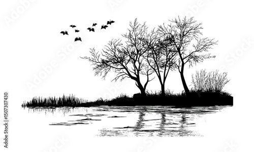 Ash tree silhouettes for wetland forest, floodplain landscape art, rainy riverbank tree illustration, engraved nature pack, lowland leaf clipart, vector illustration