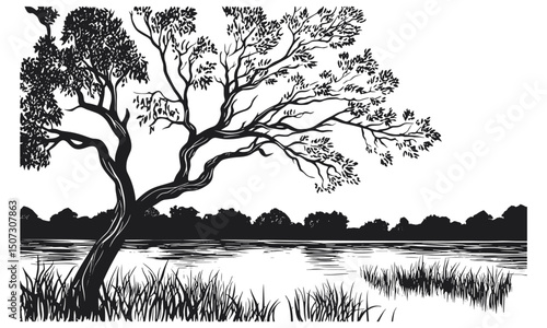Seasonal wetland forest art, ash tree silhouettes, floodplain environment, rainy riverbank illustration, lowland leaf clipart, engraved nature pack, vector illustration