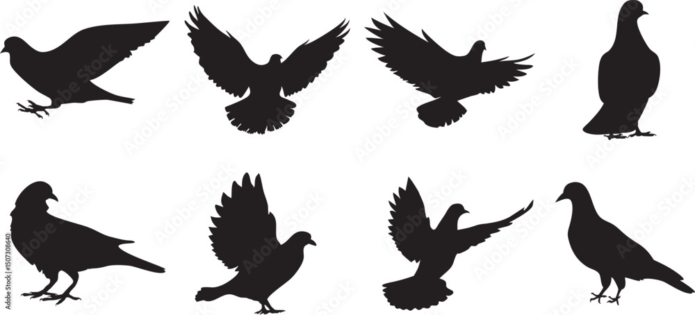 Obraz premium Pigeon Silhouette Vector Set – Flying and Standing Bird Clipart for Graphic Design, Pigeon isolated on white background, Black and white clip art, eps10. 