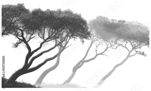 Foggy forest landscape with beech tree silhouettes, misty morning woodland, curved branches, engraved leaves, rural nature scene, tranquil forest setting, vector illustration art.