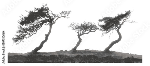 Highland Mist Art, foggy hills, sparse forest scene, rowan tree silhouettes, mystical tree vector, eerie landscape clipart, curved tree design, vector illustration, misty woodland atmosphere.