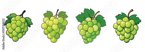 Green grapes vector art