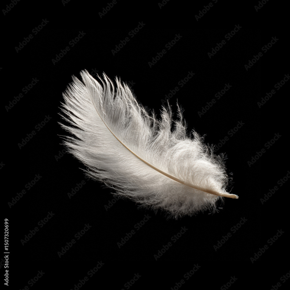 Obraz premium White feather floats on dark background