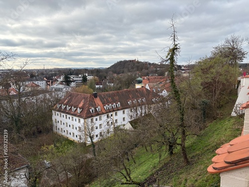 germanic view