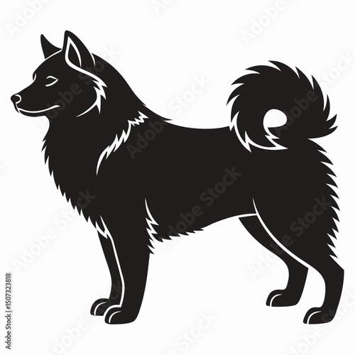 Finnish spitz silhouette vector illustration full body isolated on white background.