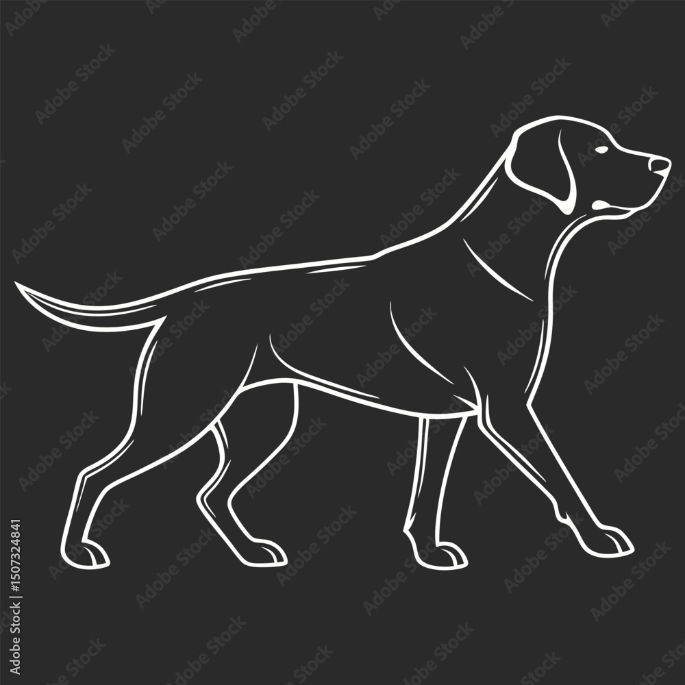 Fototapeta premium Labrador Retriever Sketch Design Vector Illustration Canine Pet Animal