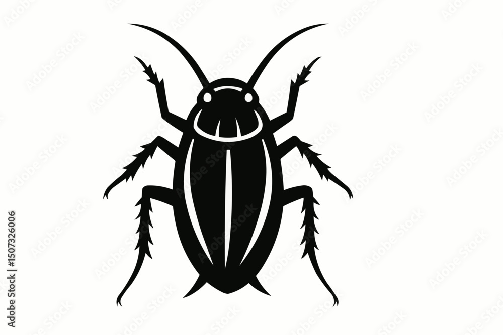 black and white beetle black and white beetle