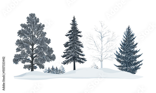 Hemlock Tree Silhouettes in Frosted Forest, alpine evergreen winter ridge, snow-covered trees clipart, engraved icy forest art pack, vector illustration, cold weather nature, christmas tree