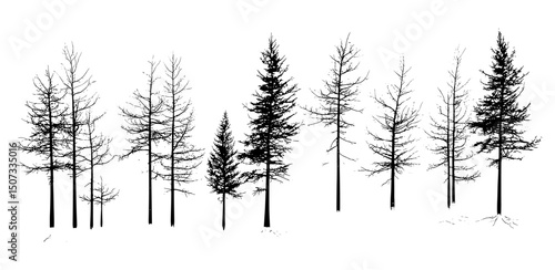 Winter wilderness silhouette, Frozen Field Larch Tree, icy tree clipart, snow plains art, engraved cold weather vector illustration, frost-covered forest, serene nature scene, chill atmosphere.