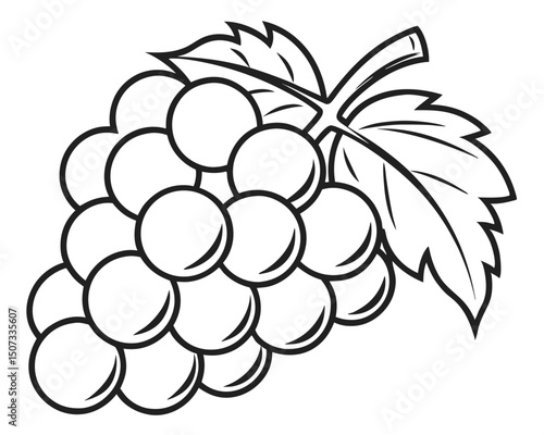 Black and white grape cluster with leaves vector illustration isolated on white background.