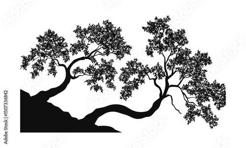 Sycamore Tree Silhouettes with Curving Trunk, Gentle Slope Riverside Forest Vector Illustration, Woodland Canopy Clipart, Engraved Leaf Silhouette, landscape nature art, cutout.