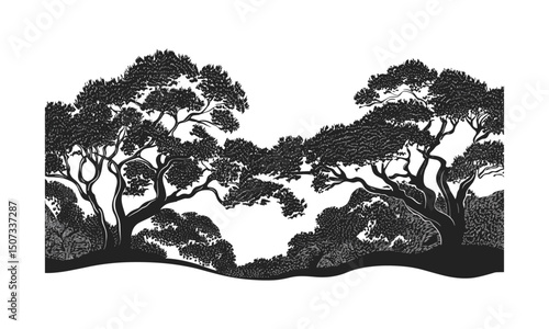 Vector Illustration of Sycamore Tree Silhouettes, Gentle Slope Woodland Canopy, Riverside Forest Scene, Natural Leaf Art, Curving Trunk Clipart, forest tree drawing, transparent background.