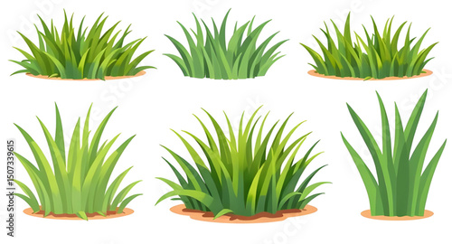 grass simple illustration, grass outline, grass cartoon pack, leafy grass set, summer nature grass, wildland grass, grass bundle illustration, grass growth stages, decorative lawn grass