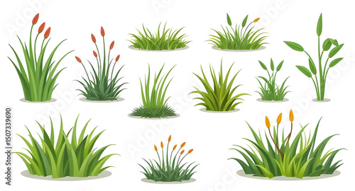 grass flat design, grass simple illustration, grass outline, grass cartoon pack, leafy grass set, summer nature grass, wildland grass, grass bundle illustration, grass growth stages, decorative lawn g