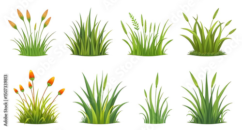 botanical grass set, grass icon pack, wild meadow grass, green turf set, grass flat design, grass simple illustration, grass outline, grass cartoon pack, leafy grass set, summer nature grass, wildland
