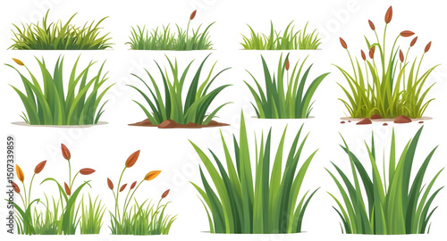 field grass drawing, botanical grass set, grass icon pack, wild meadow grass, green turf set, grass flat design, grass simple illustration, grass outline, grass cartoon pack, leafy grass set, summer n