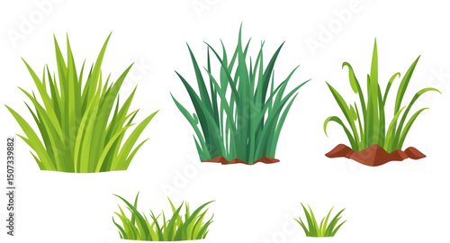 grass bunch vector, field grass drawing, botanical grass set, grass icon pack, wild meadow grass, green turf set, grass flat design, grass simple illustration, grass outline, grass cartoon pack, leafy