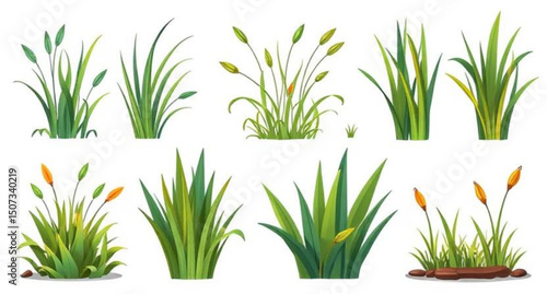 grass decoration, realistic grass vector, grass texture set, grass tuft, spring grass set, grass art collection, grass ornament, nature grass design, eco grass set, grass border illustration, grass cl
