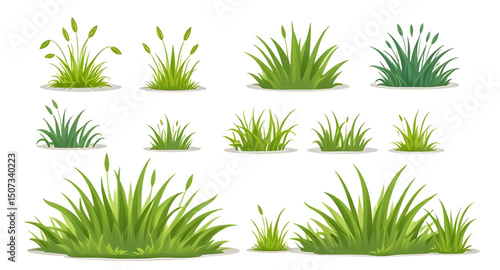 garden grass set, grass frame, grass decoration, realistic grass vector, grass texture set, grass tuft, spring grass set, grass art collection, grass ornament, nature grass design, eco grass set, gras