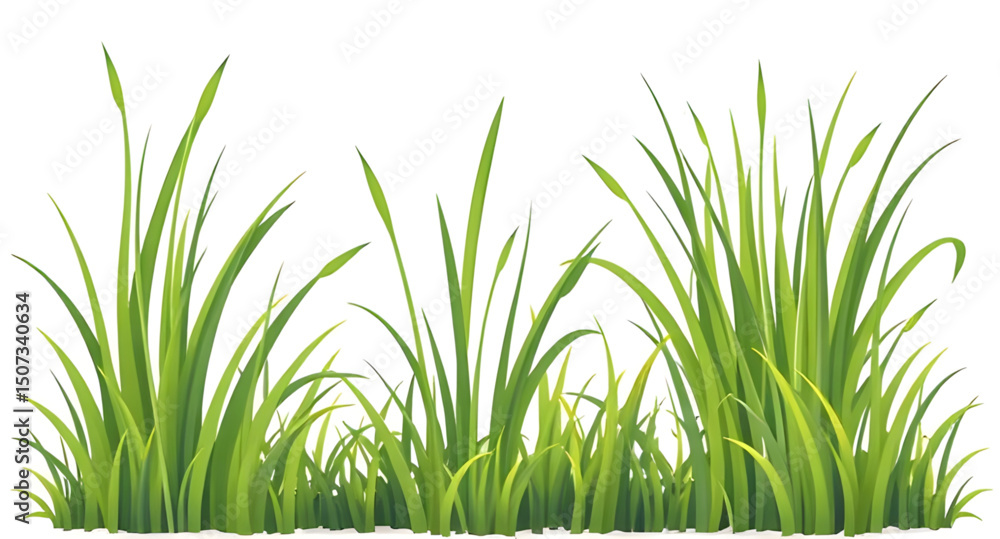 Fototapeta premium green grass isolated on white