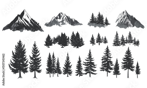 Misty ridge mountain nature, high altitude pine tree silhouettes, foggy forest scene, sharp canopy silhouette, wilderness tree pack, engraved style forest, vector illustration.