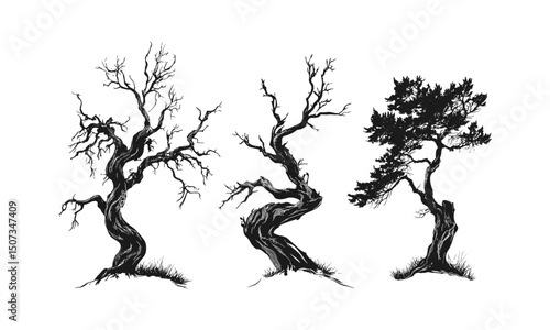 Highland Juniper silhouettes, twisted branches, alpine forest vector illustration, rocky woodland, minimal foliage, dry forest scene, natural landscape style, wilderness background, botanical design.