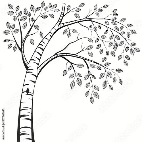 Birch tree vector art on white background. tree icon, tree logo, tree art. Adobe Illustrator Artwork