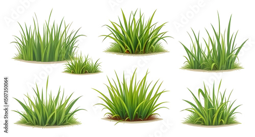 outdoor grass, grass design, garden grass, landscape grass, eco grass, fresh lawn, decorative grass, isolated lawn, grass silhouette, green meadow, plant grass, grass patch, turf grass, wild grass, ab