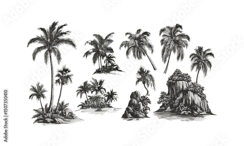 Island Coconut Tree Silhouettes, Coastal Palm Scene, Beach Landscape Art Pack, Curved Trunk Vector, Engraved Holiday Forest, Tropical Nature Design, Vector Illustration.