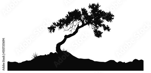 Desert Juniper Tree Silhouette Pack, wild tree vector illustration, nature clipart, forest hand-drawn tree, cutout, rustic outdoor design, wilderness graphics, cactus landscape.