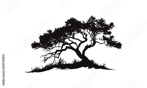 Nature Clipart Juniper Tree Vector Illustration, forest silhouette pack, wild desert hand-drawn trees, rustic woodland design, evergreen cutout, outdoor cactus elements, dry flora.